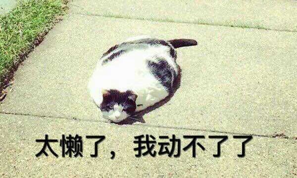̫҄(dng).jpg